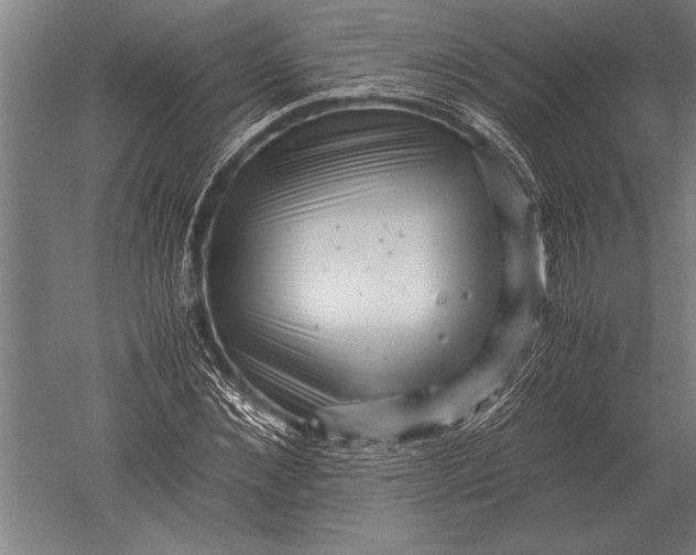 X0000051250876200507082147