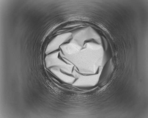 X0000051250877200507082147