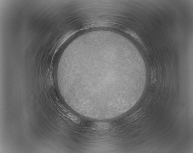 X0000051250878200507082147