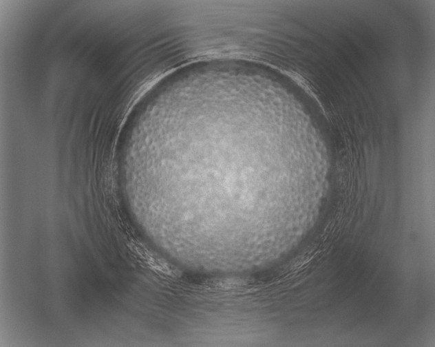 X0000051250879200507082147