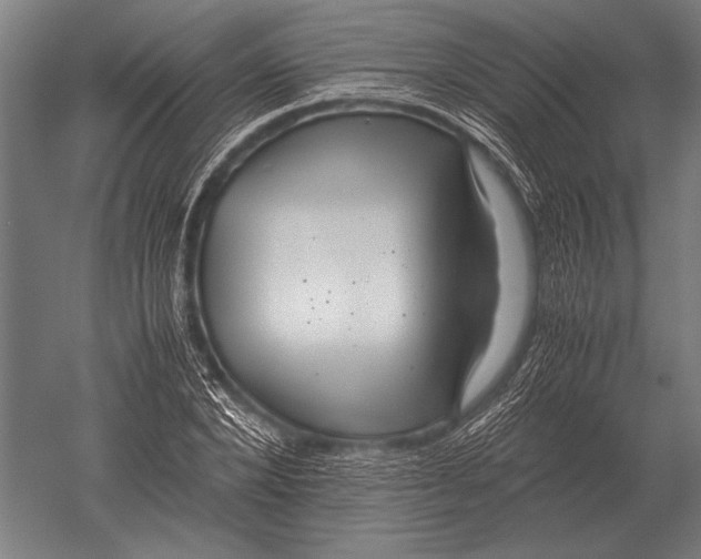 X0000051250880200507082147