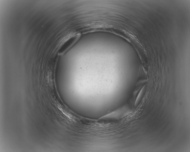 X0000051250881200507082147