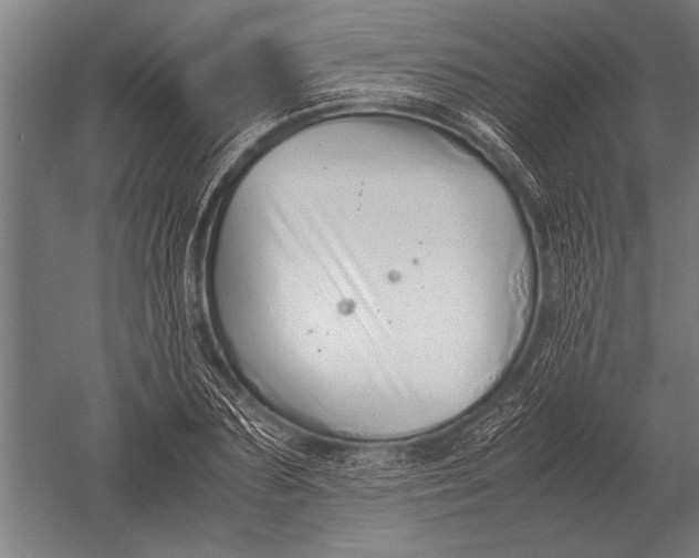 X0000051250883200507082147