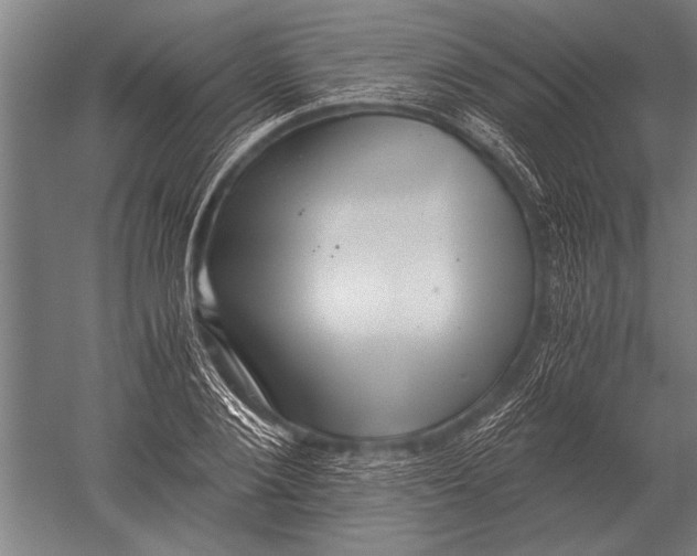 X0000051250884200507082147