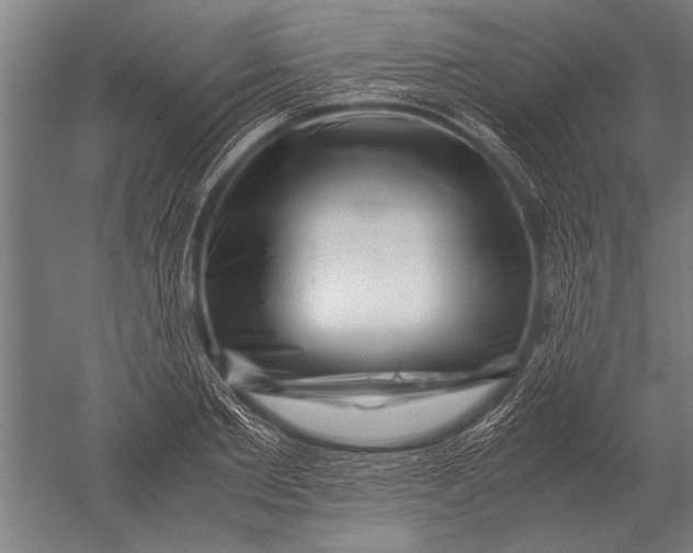 X0000051250885200507082147