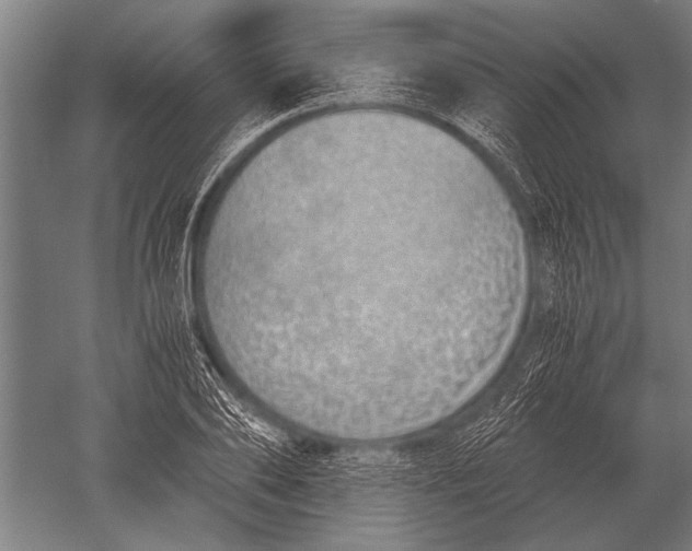 X0000051250886200507082147