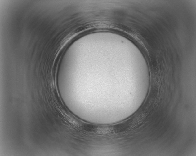 X0000051250887200507082147