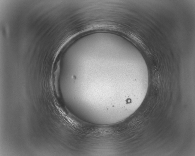 X0000051250888200507082147