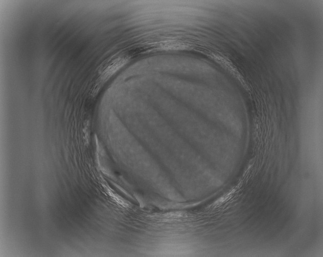 X0000051250889200507082147