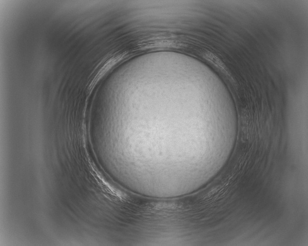 X0000051250890200507082147