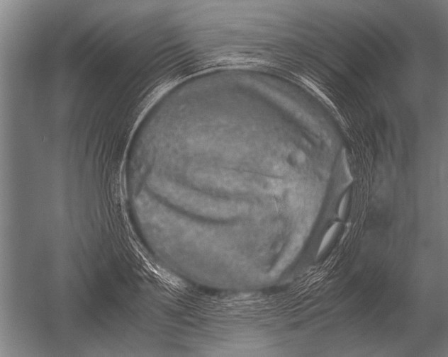 X0000051250891200507082147