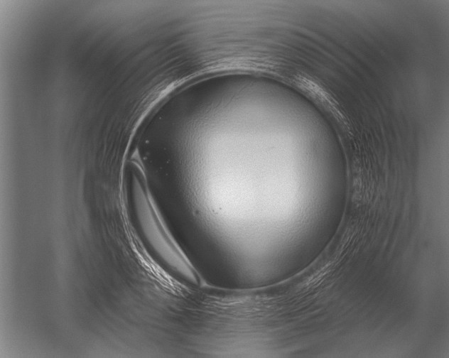 X0000051250892200507082147