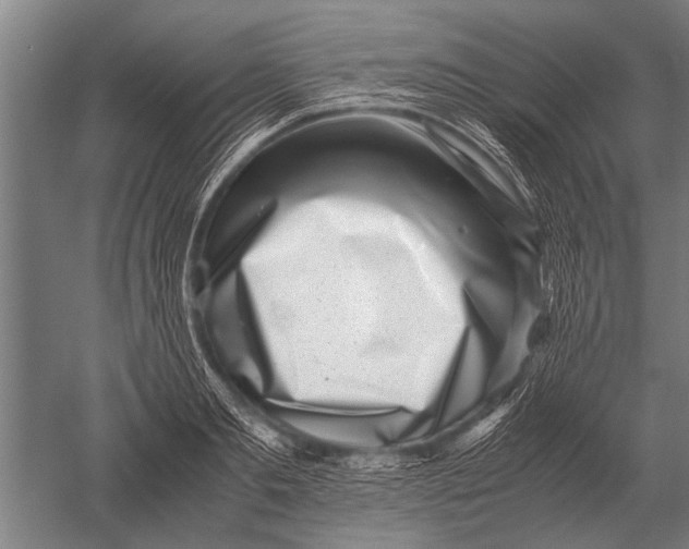 X0000051250893200507082147