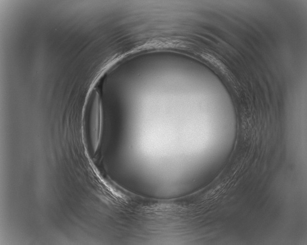 X0000051250894200507082147