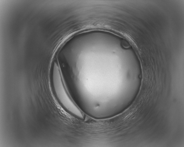 X0000051250895200507082147