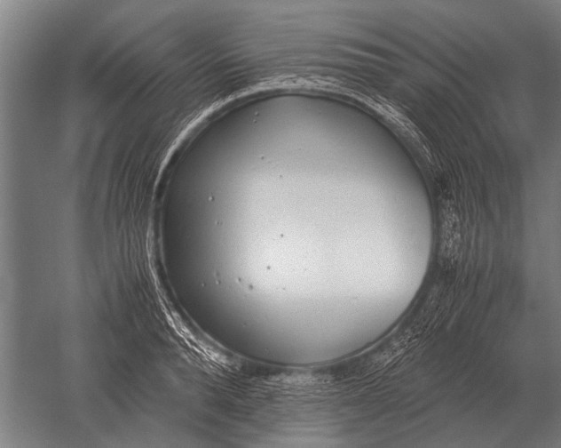 X0000051250896200507082147