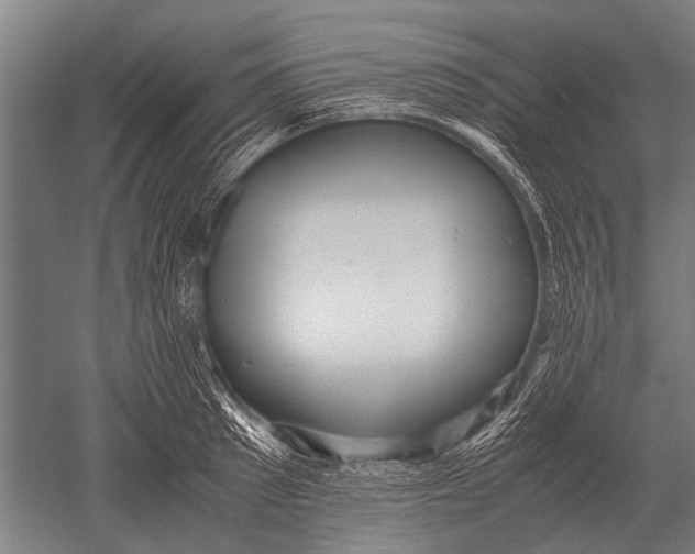 X0000051250897200507082147