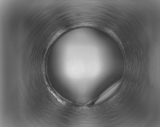 X0000051250898200507082147