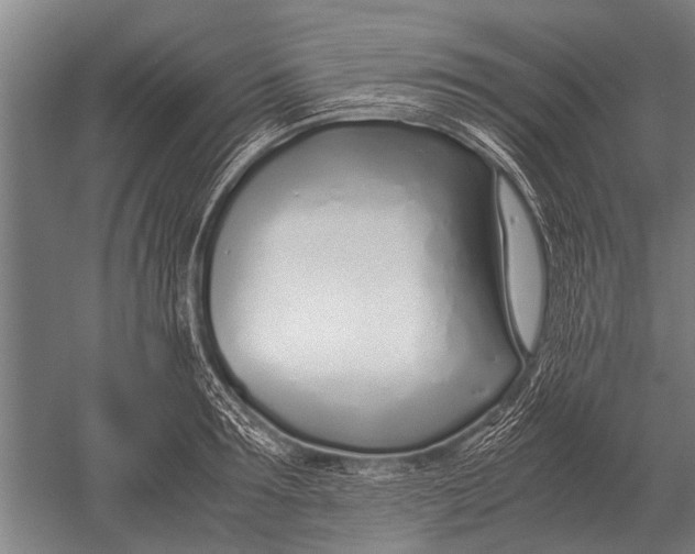 X0000051250899200507082147