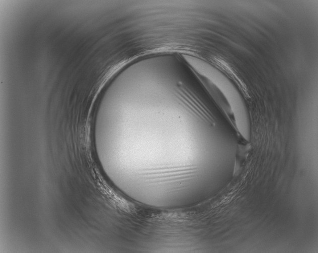 X0000051250900200507082147