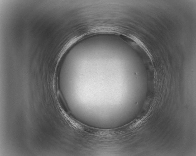 X0000051250901200507082147