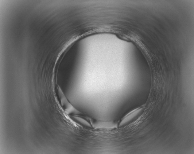 X0000051250902200507082147