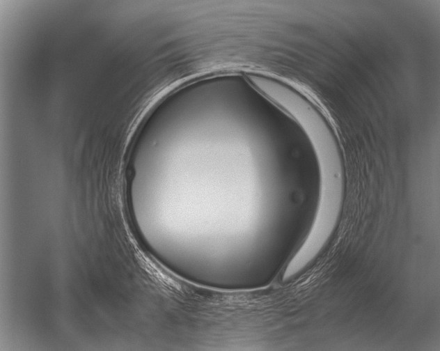 X0000051250903200507082147