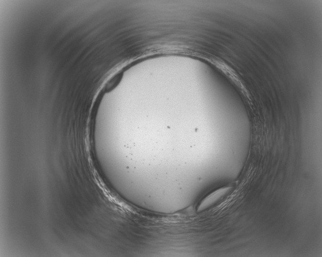 X0000051250904200507082147