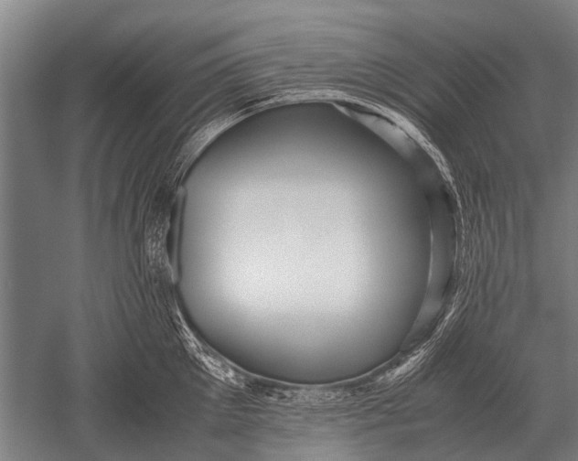 X0000051250905200507082147