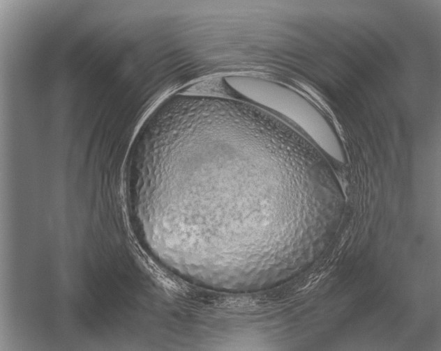 X0000051250907200507082147