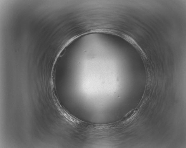 X0000051250908200507082147