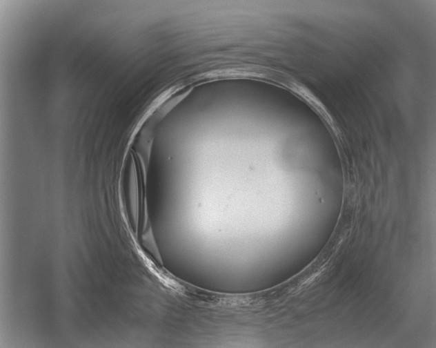 X0000051250909200507082147