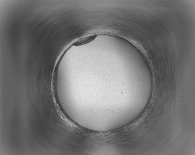 X0000051250912200507082147