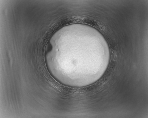 X0000051250913200507082146