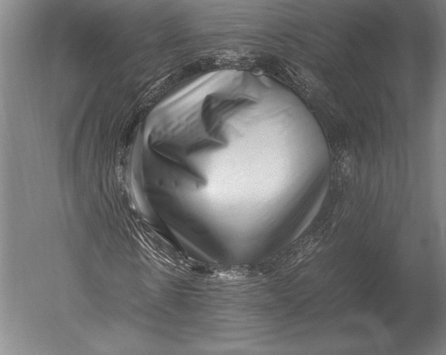 X0000051250914200507082146