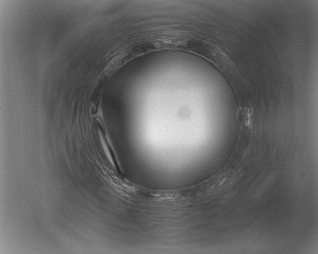 X0000051250915200507082146