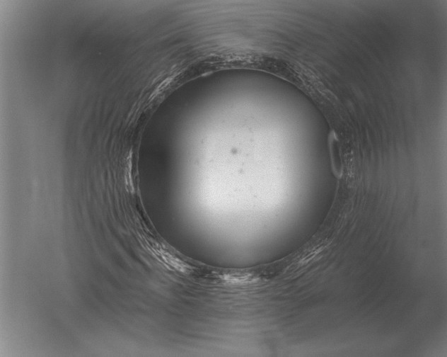 X0000051250916200507082146