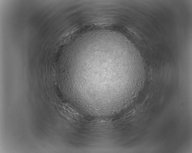 X0000051250917200507082146