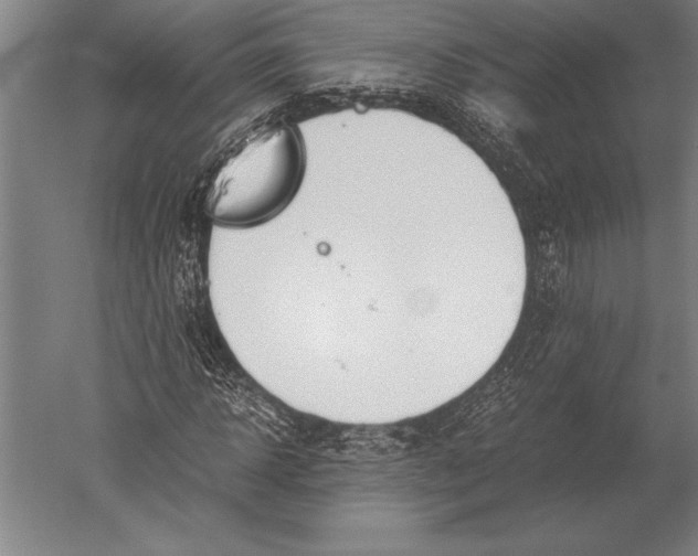 X0000051250918200507082146