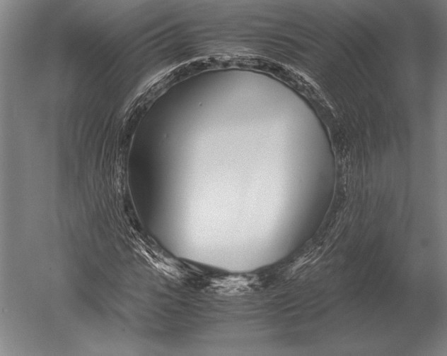 X0000051250919200507082146