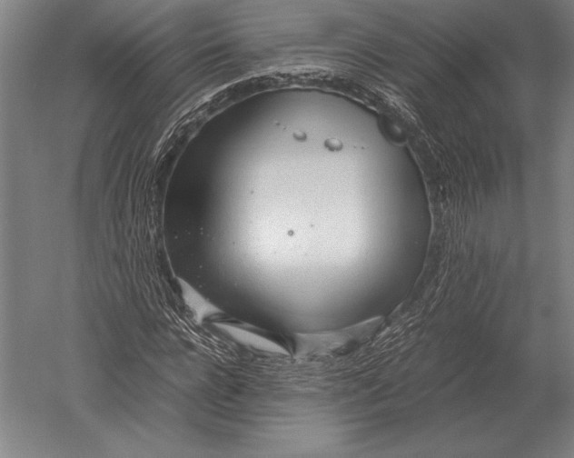 X0000051250920200507082146