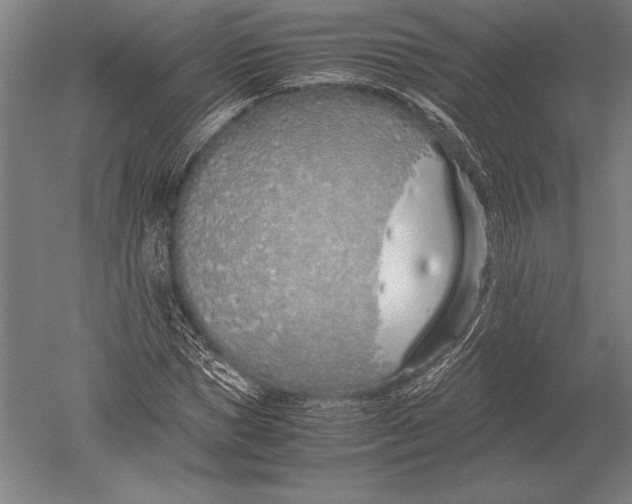 X0000051250921200507082146