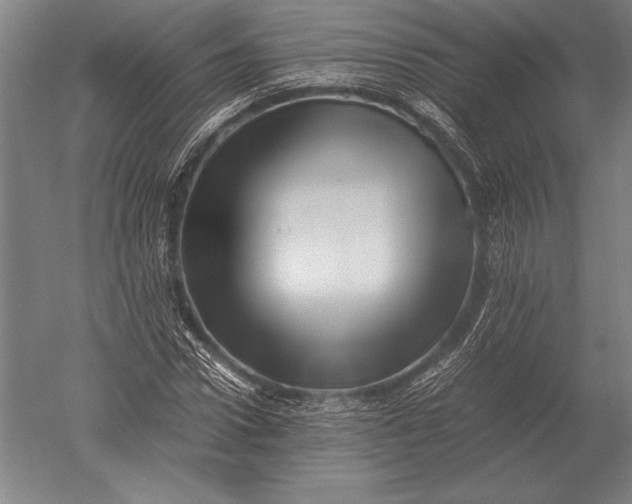 X0000051250922200507082146