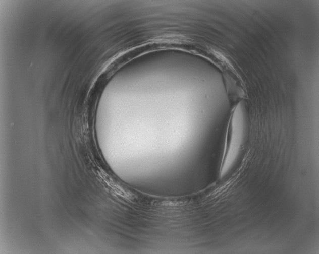 X0000051250923200507082146