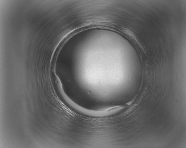 X0000051250924200507082146