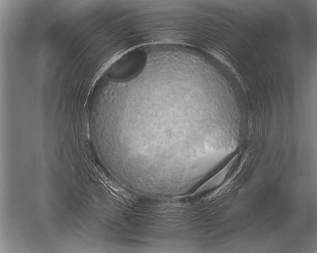 X0000051250925200507082146