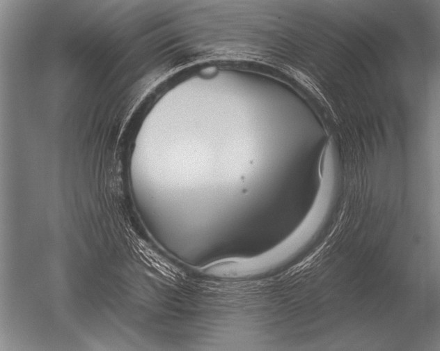 X0000051250926200507082146