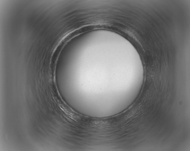 X0000051250927200507082146