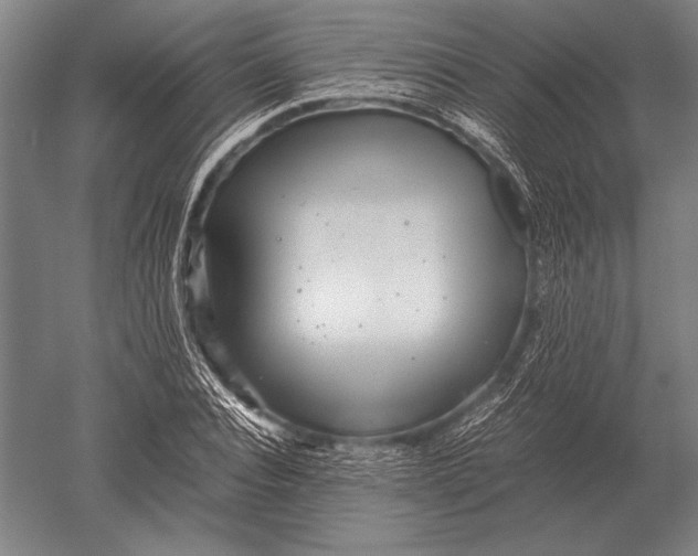 X0000051250928200507082146