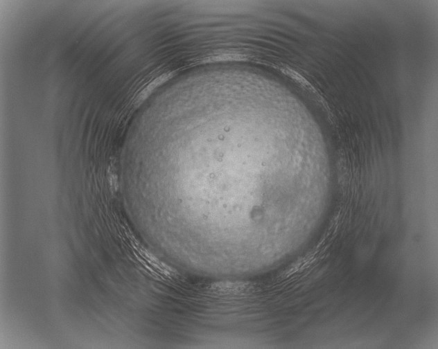 X0000051250929200507082146